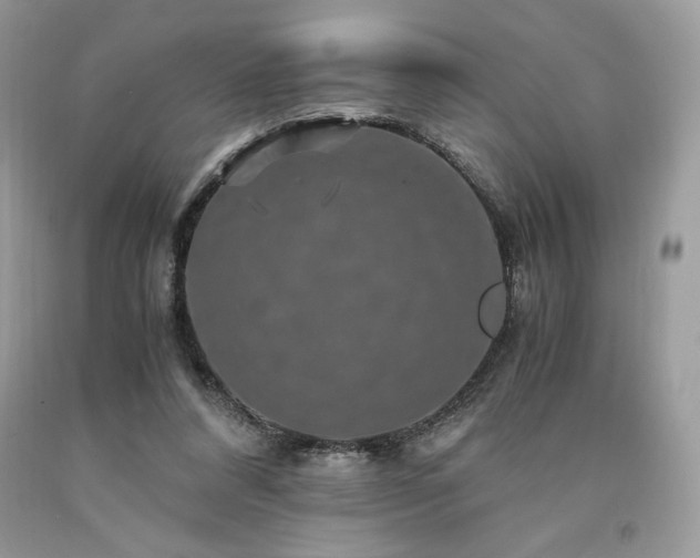 X0000094180304200710261137