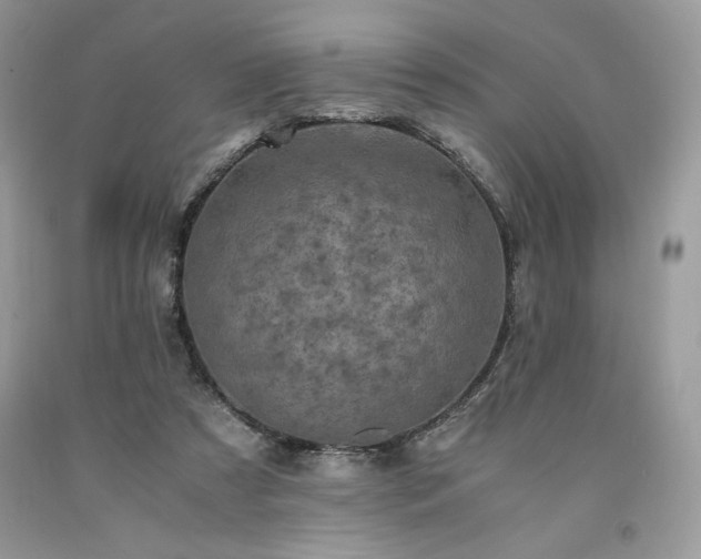 X0000094180305200710261137