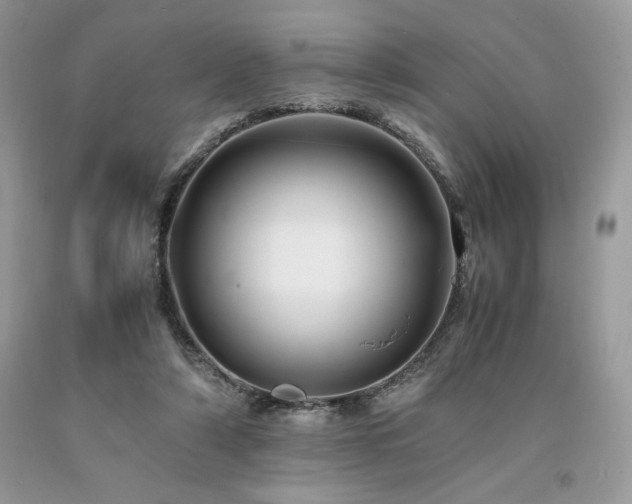 X0000094180306200710261137