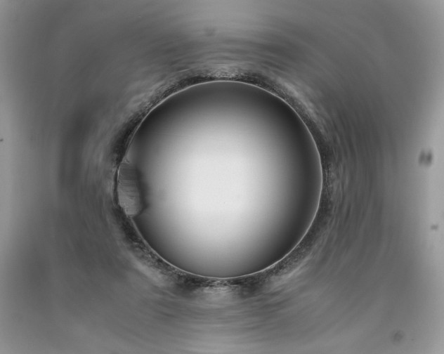 X0000094180307200710261137