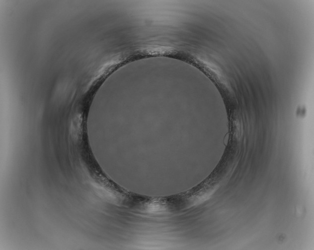 X0000094180308200710261137