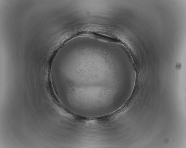 X0000094180309200710261137