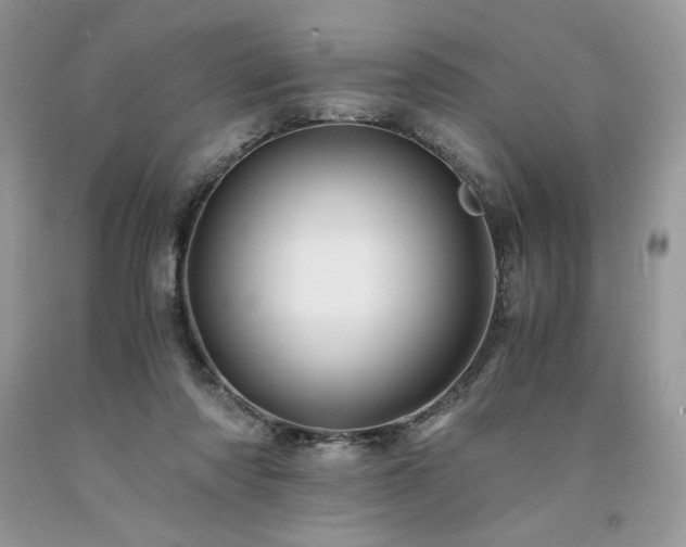 X0000094180310200710261137