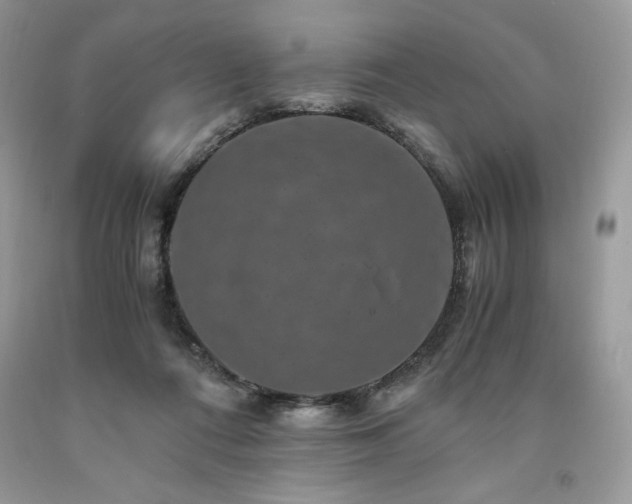 X0000094180312200710261137