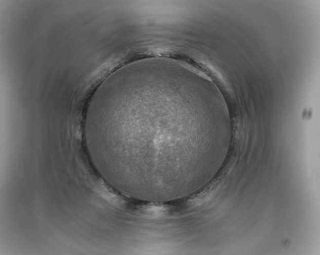 X0000094180313200710261137