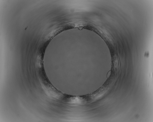 X0000094180316200710261137