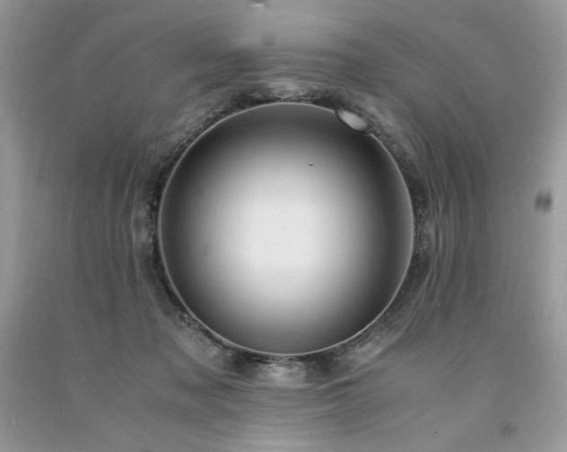 X0000094180317200710261137