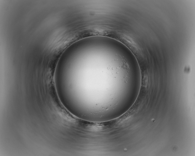 X0000094180318200710261137