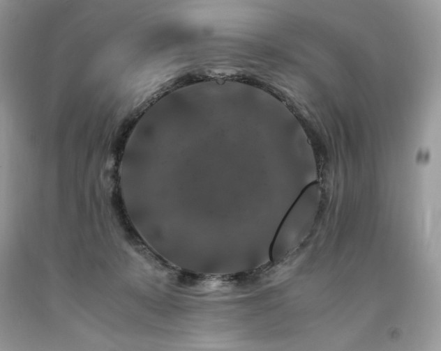 X0000094180319200710261137