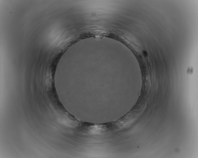 X0000094180320200710261137