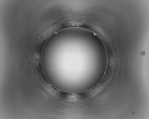 X0000094180321200710261137