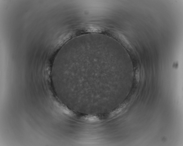 X0000094180322200710261137