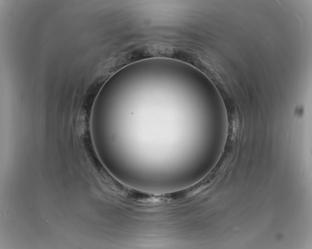 X0000094180323200710261137
