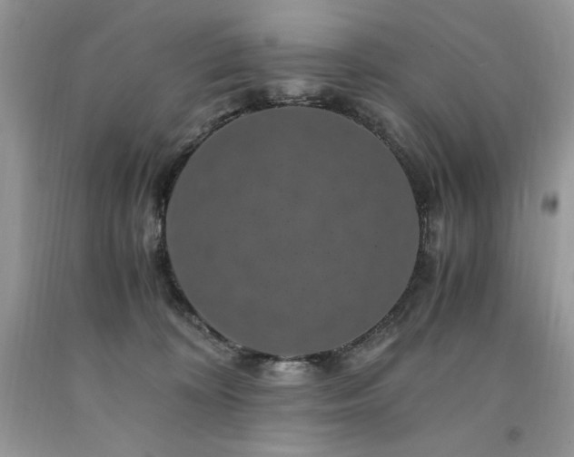 X0000094180324200710261137