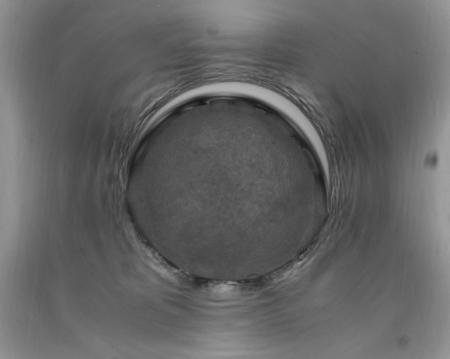 X0000094180325200710261137