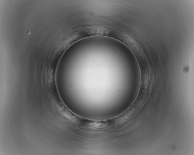 X0000094180326200710261137