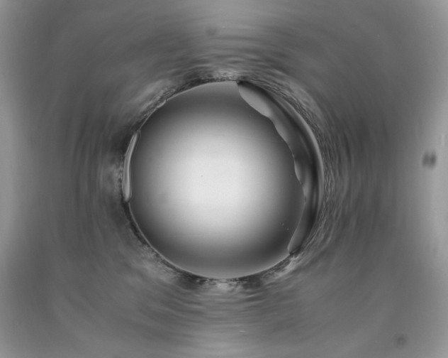 X0000094180329200710261137
