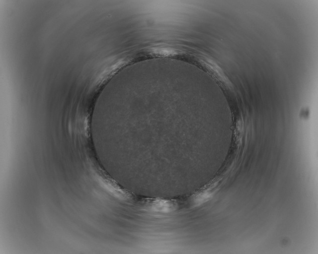 X0000094180330200710261137