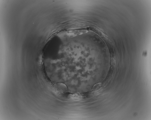 X0000094180331200710261137