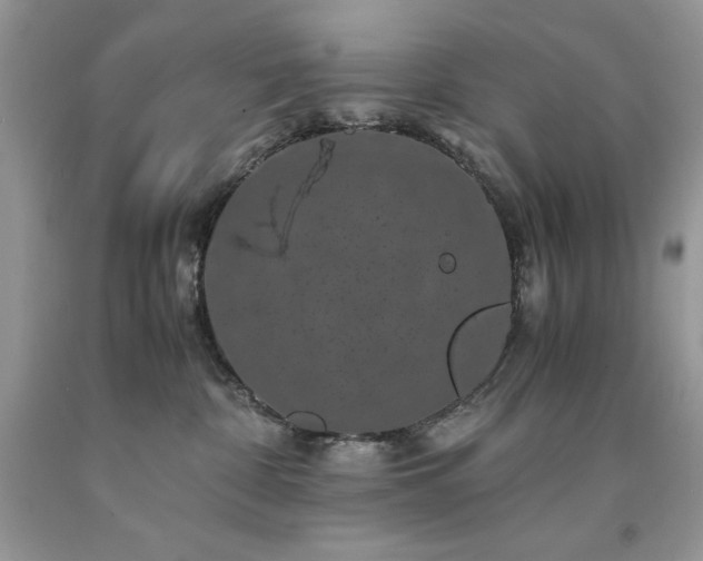 X0000094180332200710261137