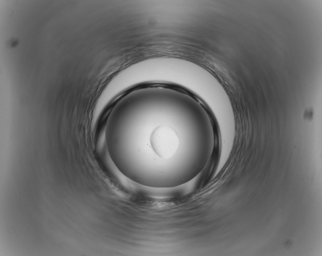 X0000094180333200710261137