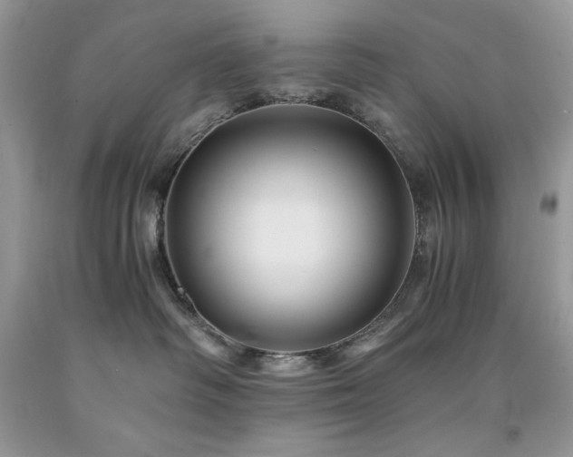 X0000094180334200710261137