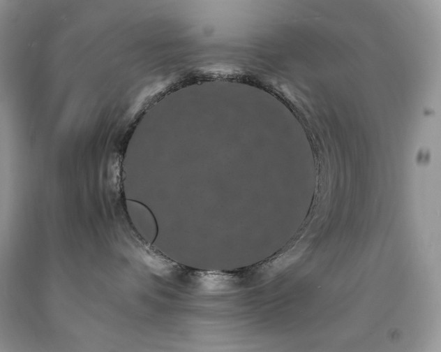 X0000094180336200710261137