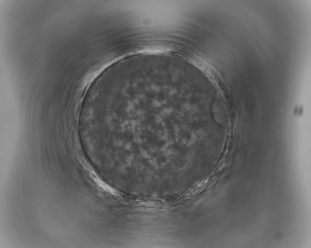 X0000094180337200710261136