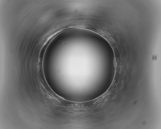 X0000094180338200710261136