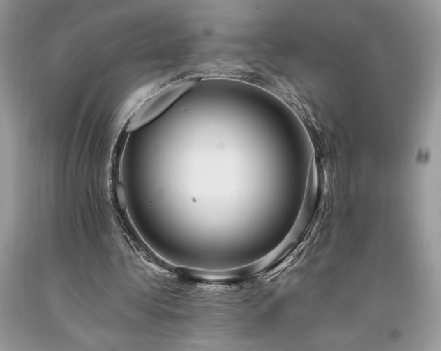 X0000094180340200710261136