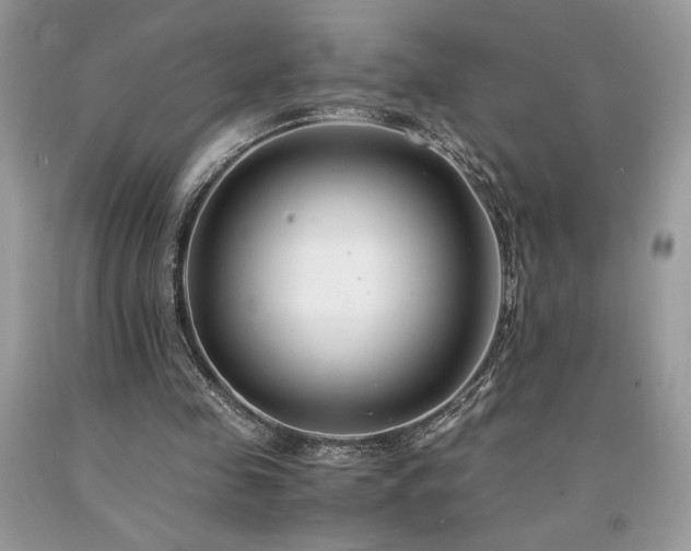 X0000094180341200710261136