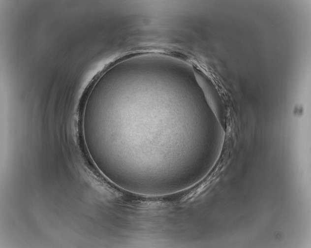X0000094180342200710261136