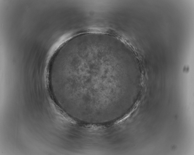 X0000094180343200710261136