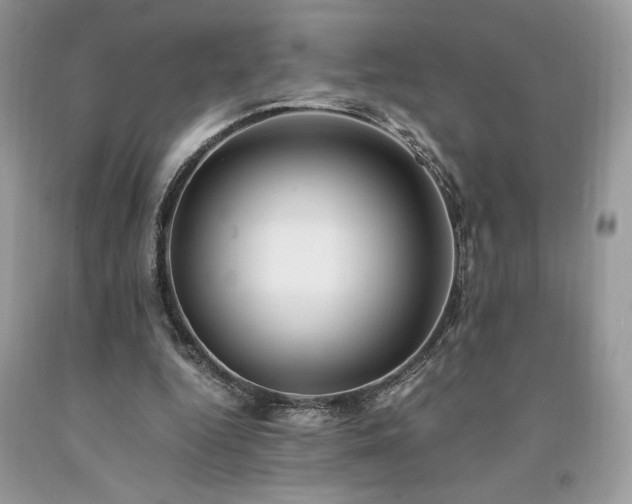 X0000094180344200710261136