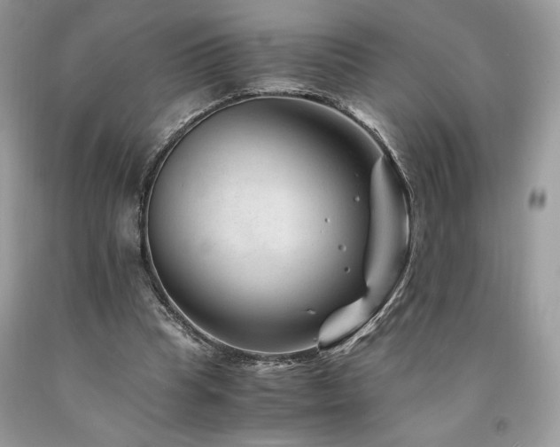 X0000094180345200710261136