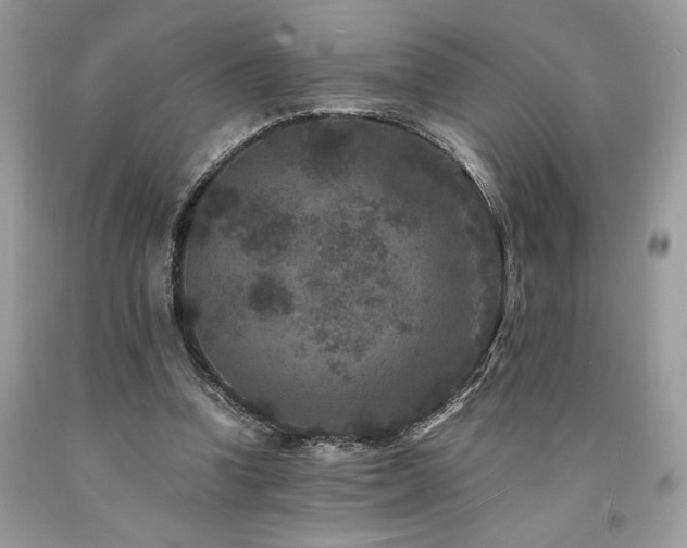 X0000094180346200710261136