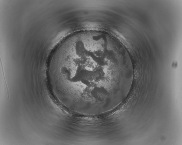 X0000094180347200710261136