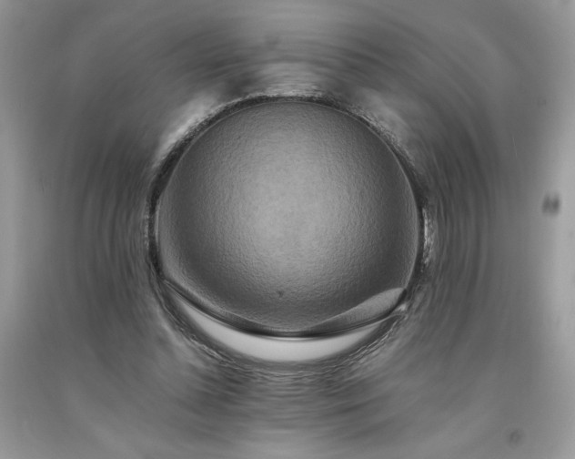 X0000094180348200710261136