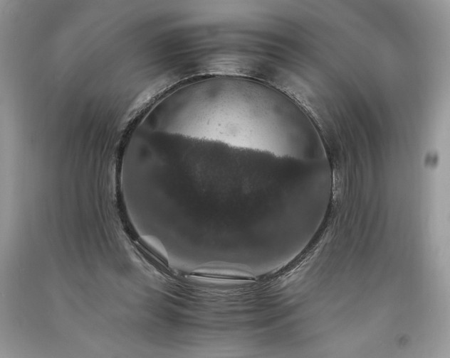 X0000094180349200710261136
