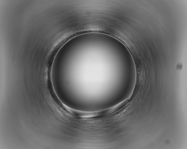 X0000094180350200710261136