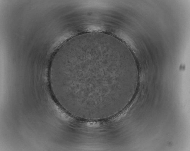X0000094180353200710261136