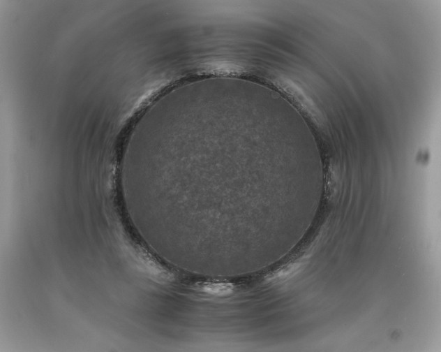 X0000094180355200710261136