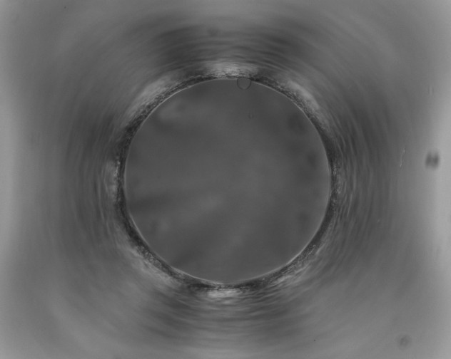 X0000094180357200710261136