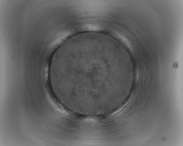 X0000094180358200710261136