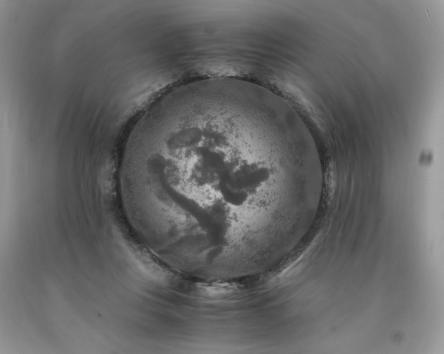 X0000094180359200710261136