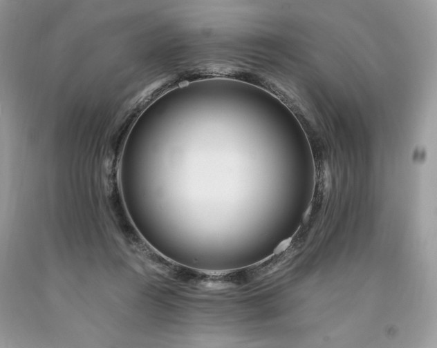 X0000094180360200710261136