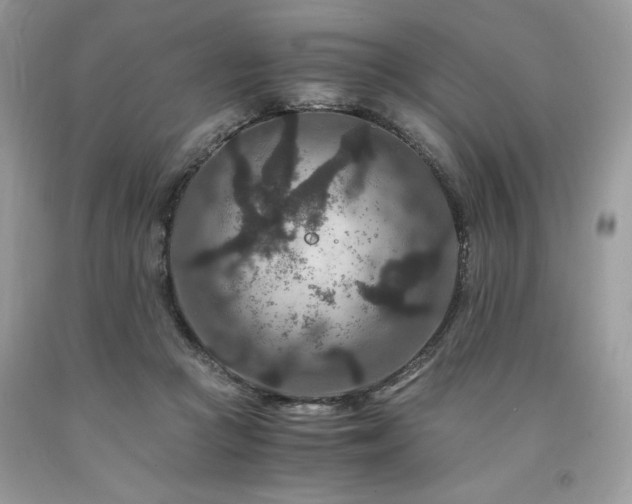 X0000094180361200710261136