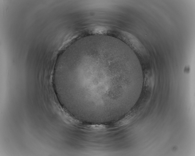 X0000094180363200710261136
