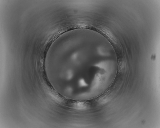 X0000094180365200710261136