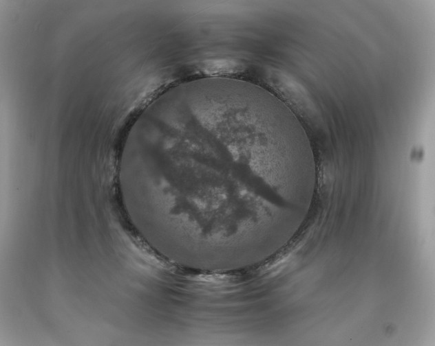 X0000094180367200710261136